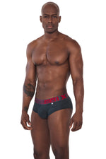 BRIEF CLASICO MICROFIBRA GRIS